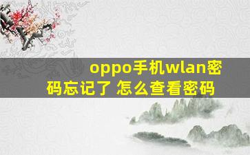 oppo手机wlan密码忘记了 怎么查看密码